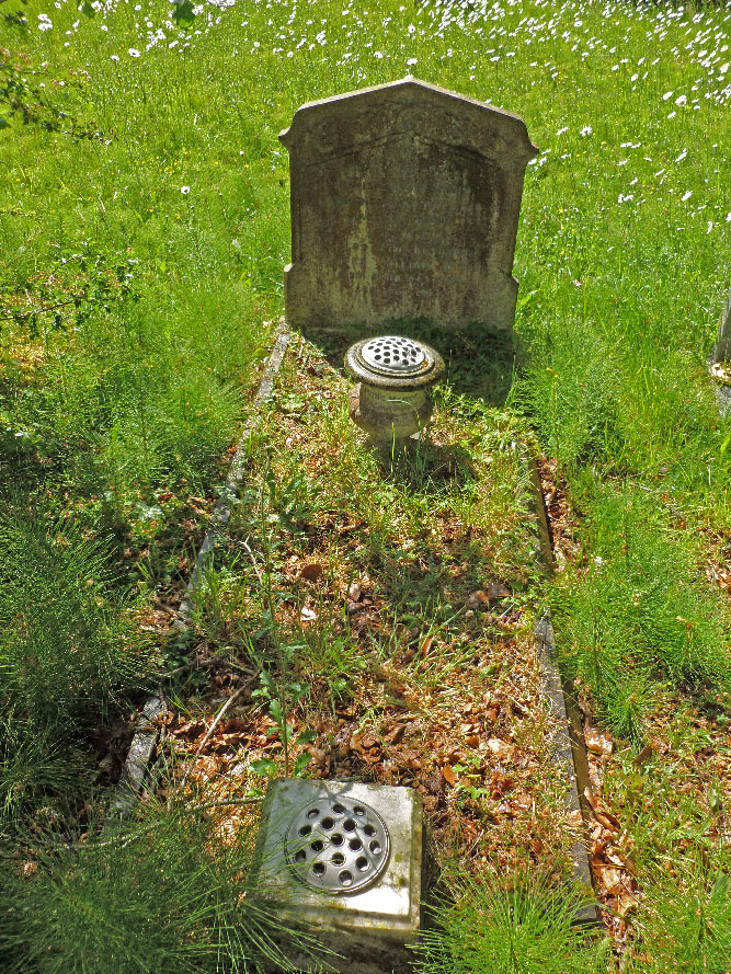 James William Irwin